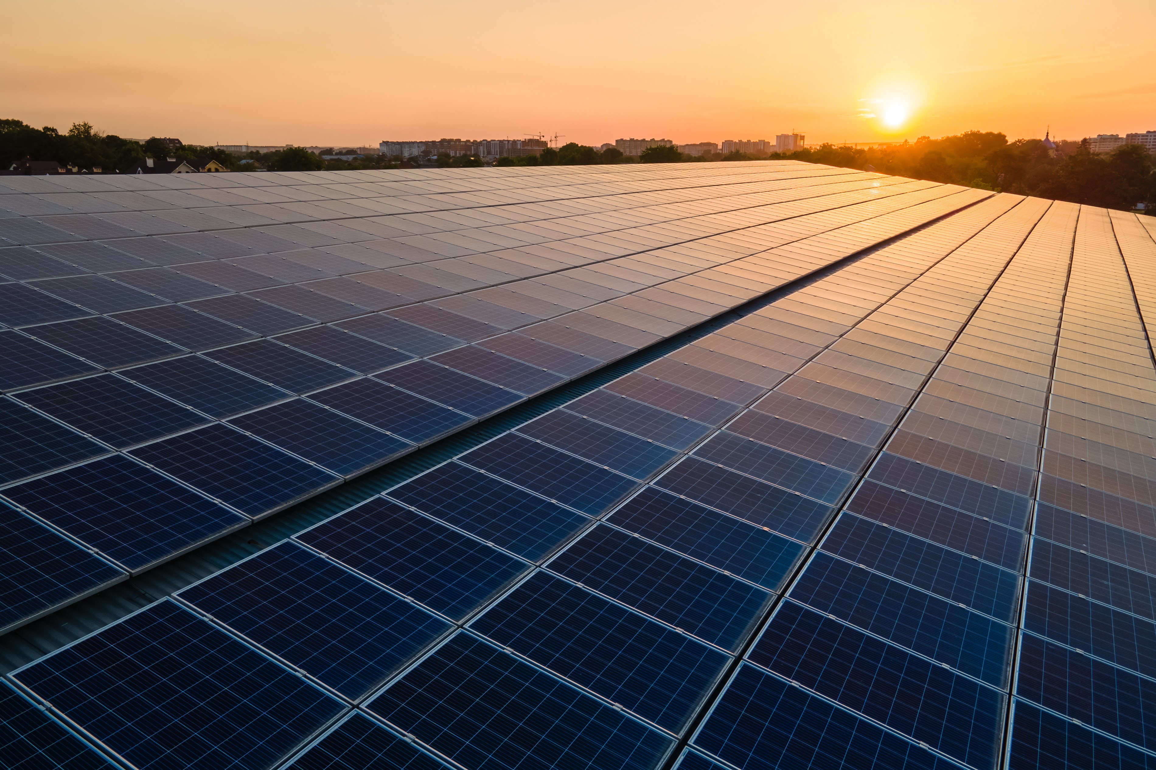 Rows of rooftop solar panels at sunset above a city skyline
