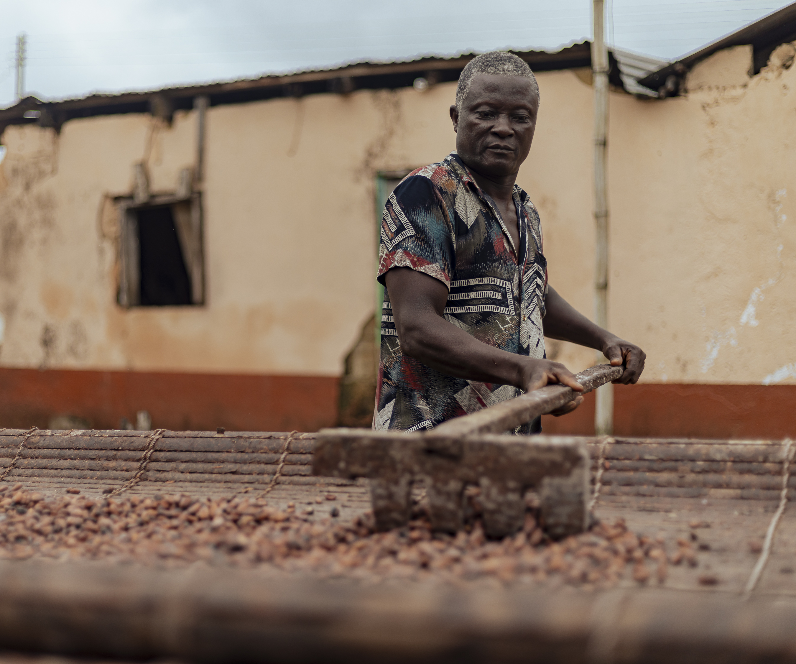 A cocoa farmer raking drying cocoa beans in front of a weathered building